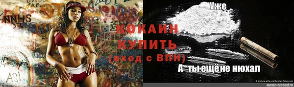 молекула духа Алзамай