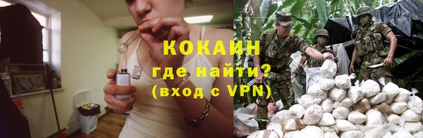 молекула духа Алзамай