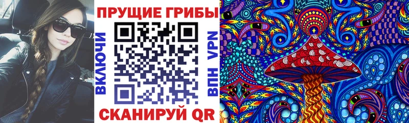 Псилоцибиновые грибы мухоморы  купить наркотики цена  Льгов 